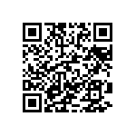 T11-1-250A-02-11 QRCode