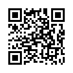 T12745 QRCode