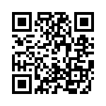 T20401510000G QRCode