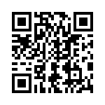 T29-9153-1 QRCode