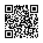 T37128-17-0 QRCode