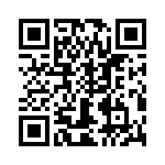 T38000-04-0 QRCode