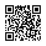 T38000-10-0 QRCode