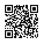 T38002-22-0 QRCode