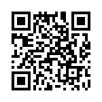 T38007-04-0 QRCode