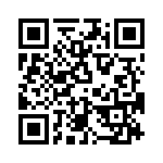 T38010-04-0 QRCode