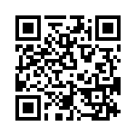 T38011-04-0 QRCode