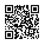 T38012-12-0 QRCode