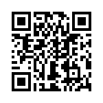 T38013-04-0 QRCode