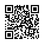 T38013-08-0 QRCode