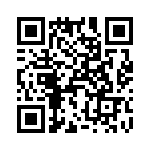 T38013-26-0 QRCode