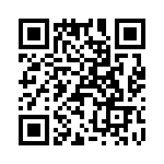 T38017-25-0 QRCode