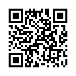 T38018-12-0 QRCode