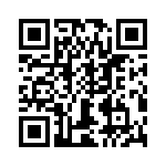 T38021-22-0 QRCode