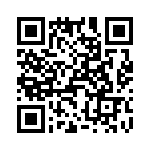 T38022-03-0 QRCode