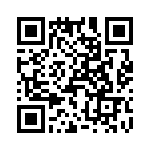 T38023-17-0 QRCode