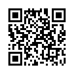 T38023-20-0 QRCode