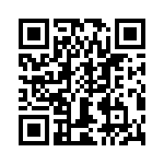 T38023-22-0 QRCode