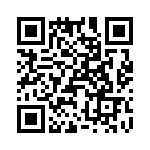 T38025-04-0 QRCode