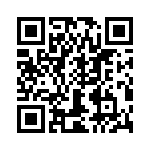 T38028-16-0 QRCode