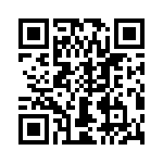 T38030-01-0 QRCode