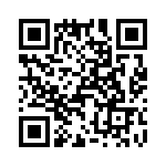 T38030-23-0 QRCode