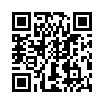 T38031-22-0 QRCode