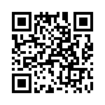 T38033-01-0 QRCode