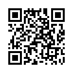 T38038-24-0 QRCode