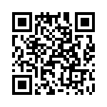 T38040-06-0 QRCode