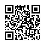 T38040-09-0 QRCode