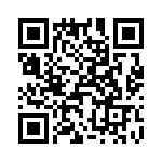 T38040-22-0 QRCode