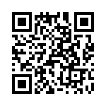 T38041-10-0 QRCode