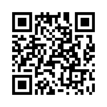 T38042-17-0 QRCode