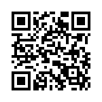 T38045-13-0 QRCode