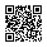 T38060-10-0 QRCode