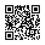 T38061-16-0 QRCode