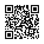 T38062-03-0 QRCode