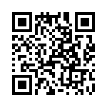 T38062-13-0 QRCode