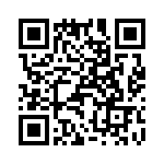 T38062-25-0 QRCode