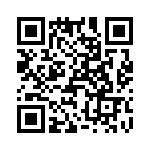 T38065-17-0 QRCode