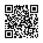 T38070-04-0 QRCode