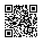 T38073-03-0 QRCode