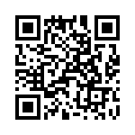 T38100-02-0 QRCode