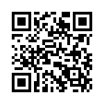 T38100-04-0 QRCode