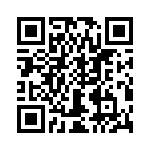 T38100-07-0 QRCode