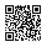 T38100-08-0 QRCode