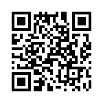 T38100-10-0 QRCode