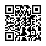 T38101-04-0 QRCode