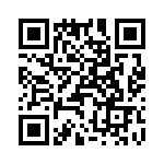 T38102-04-0 QRCode